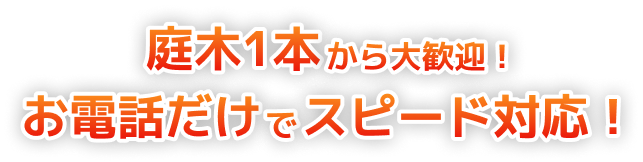 庭木1本から大歓迎!お電話だけでスピード対応!